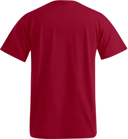 Promodoro Men's Premium-T