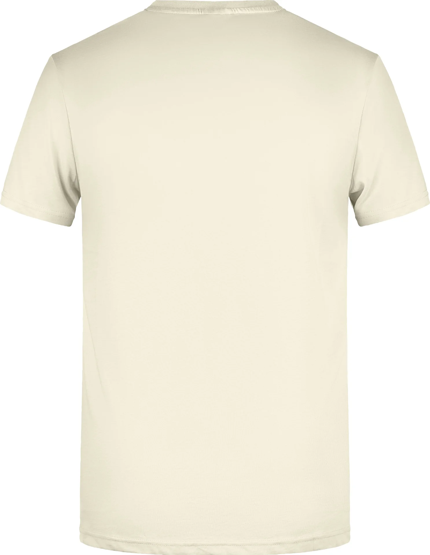 James & Nicholson Men`s Basic-T