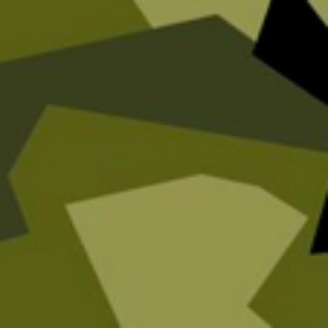camo