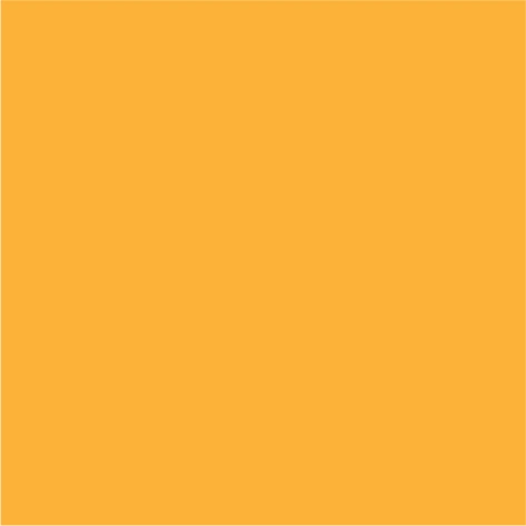 paradise orange