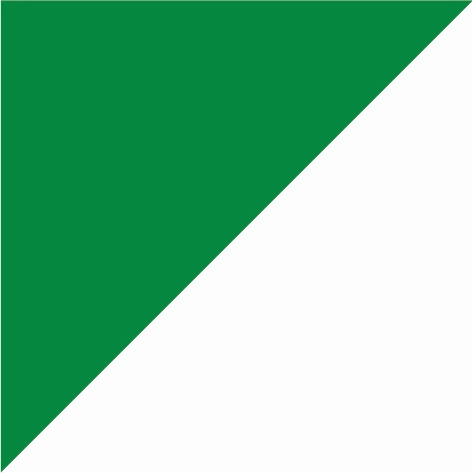 kelly green/arctic white