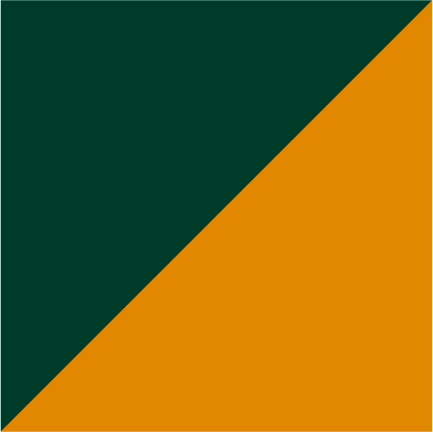 bottle green/yellow
