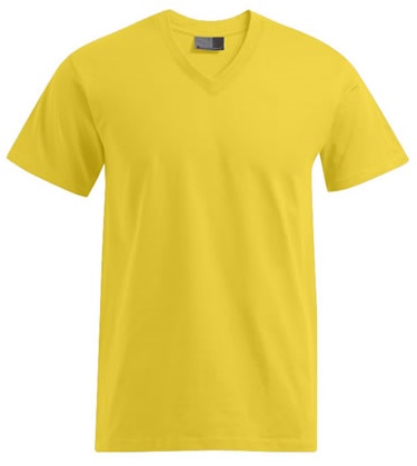 Promodoro Men's Premium V-Neck-T Promodoro Men's Premium V-Neck-T