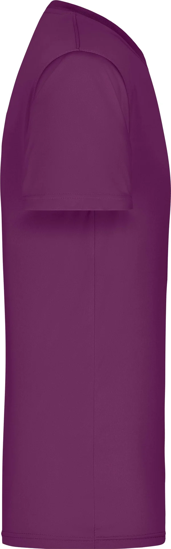 James & Nicholson Men`s Active-T