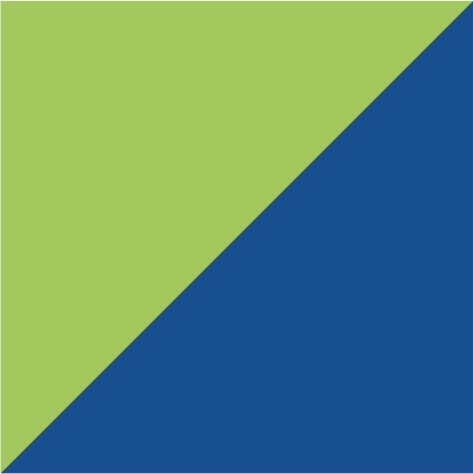 lime/royal