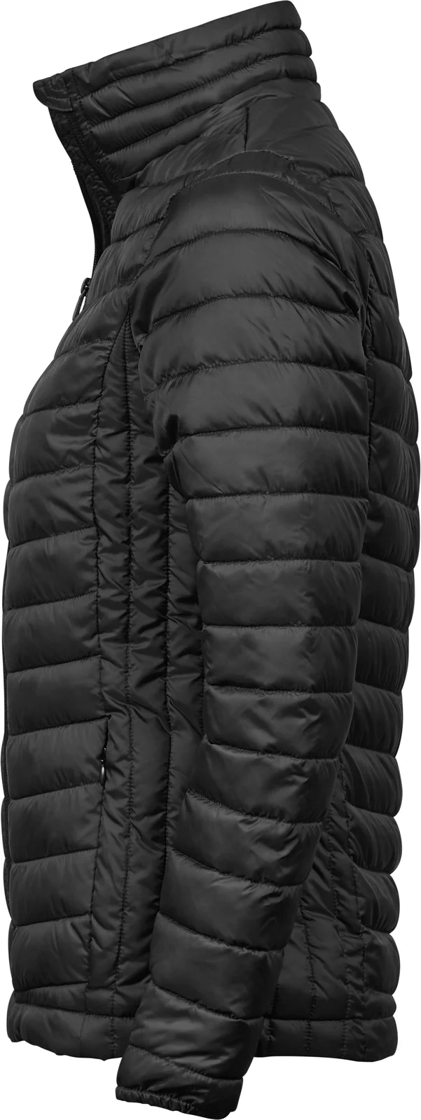 tee-jays-9631-womens-zepelin-jacket-black-left-2 Tee Jays Woman's Zepelin Jacket
