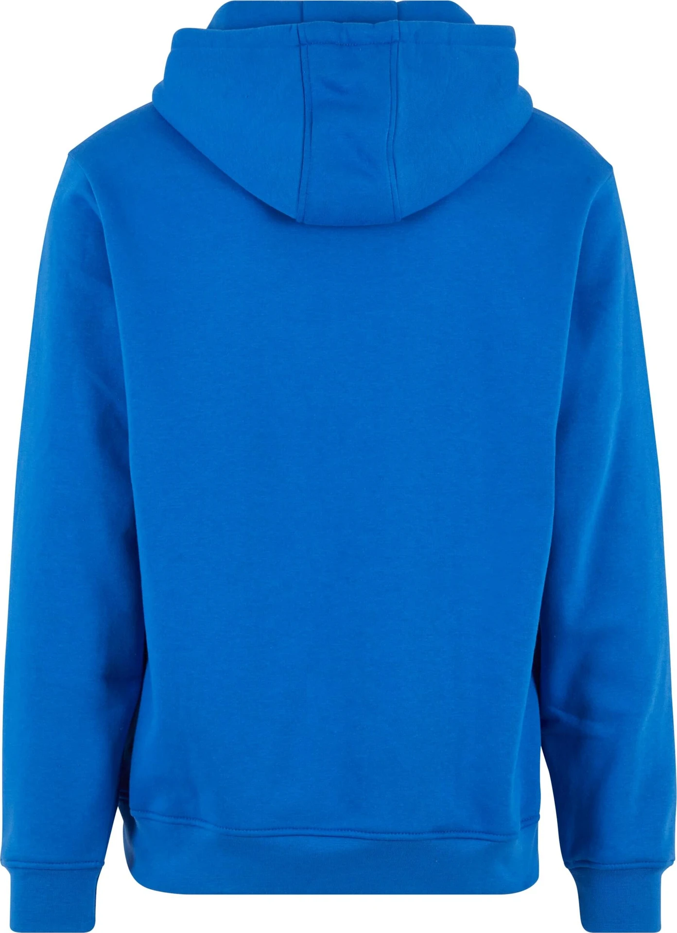 Build Your Brand Basic Hoody