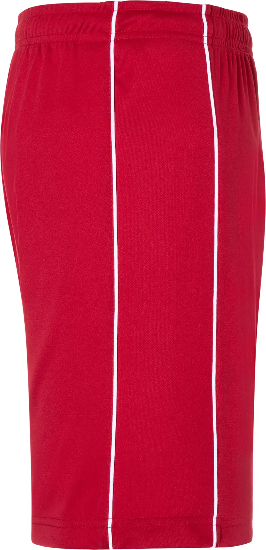 James & Nicholson Basic Team Shorts (387)