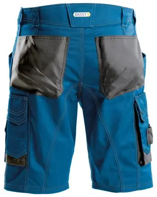 DASSY Arbeitsshorts COSMIC