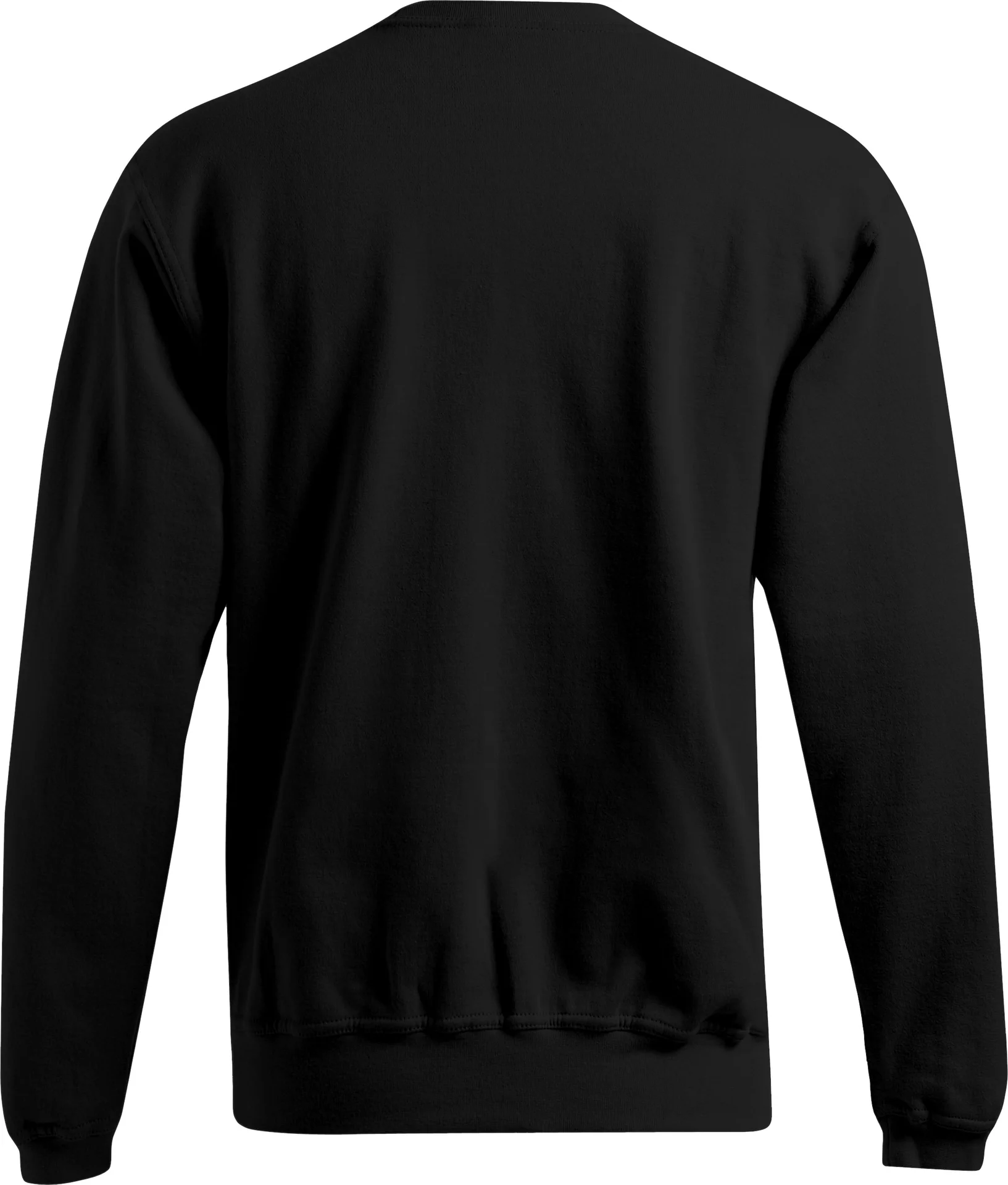 Promodoro Men's Sweater 80/20