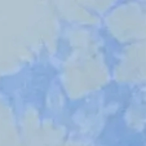blue cloud