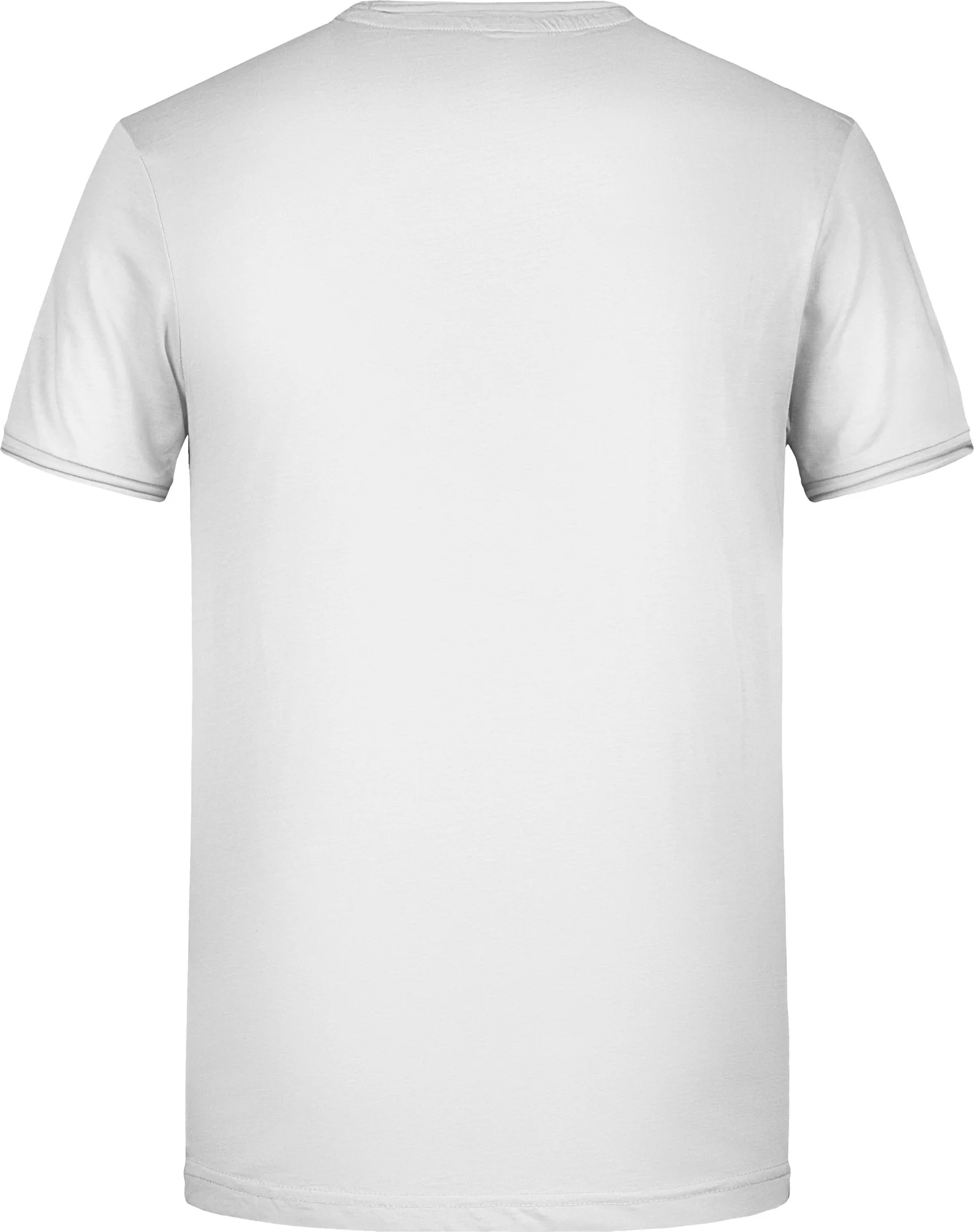 James & Nicholson Men's T