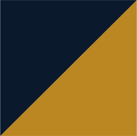 oxford navy/mustard