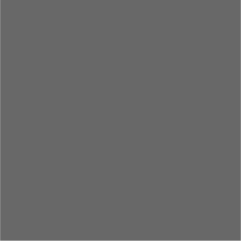 workguard grey