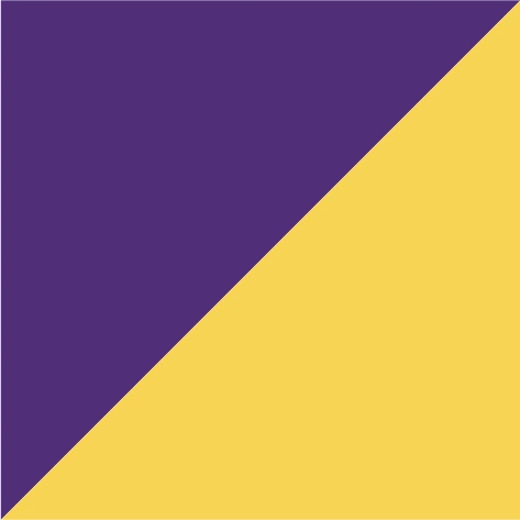 purple/sun yellow
