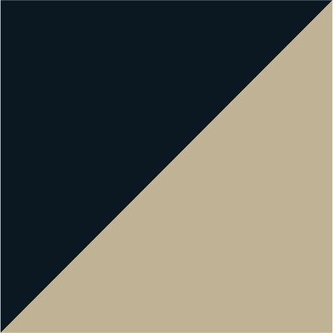 navy/stone