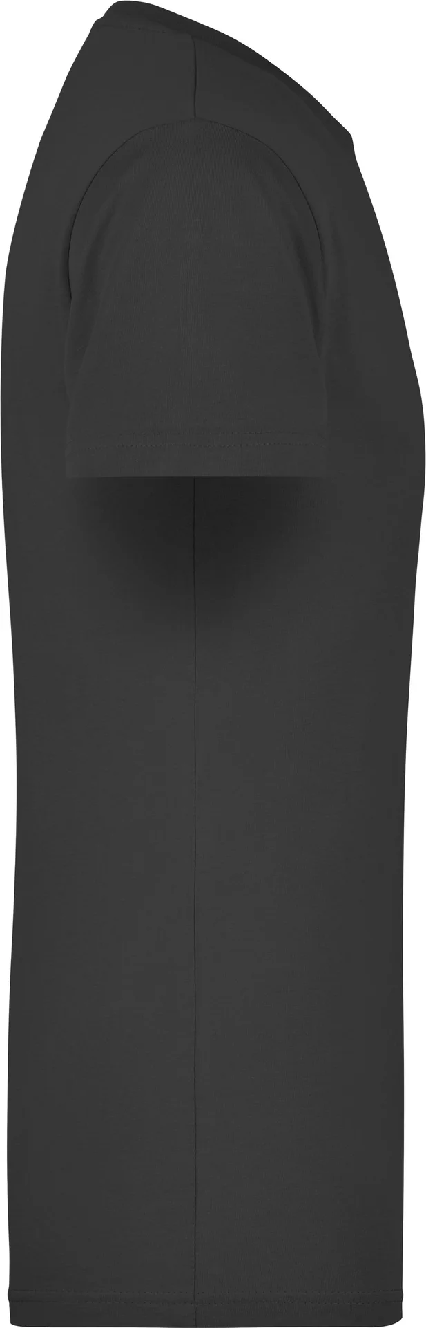 James & Nicholson Men's Slim Fit-T