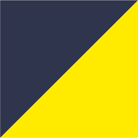 navy/bright yellow