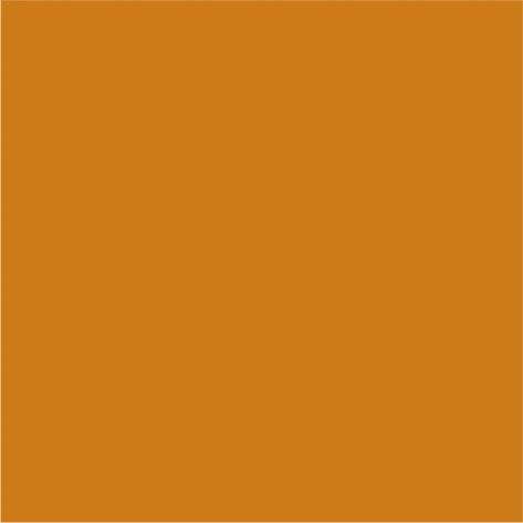 pumpkin pie