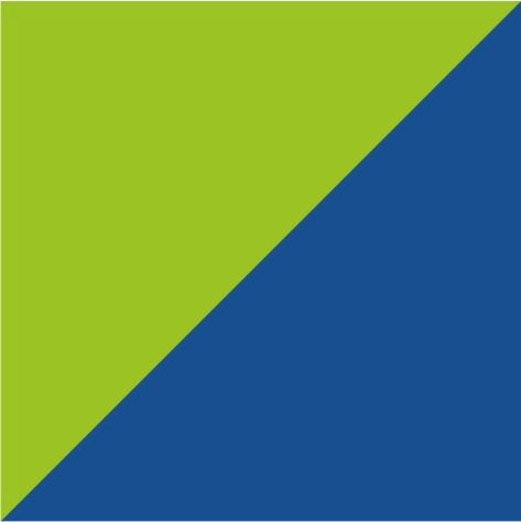 lime green/royal