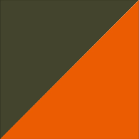 oliv/orange