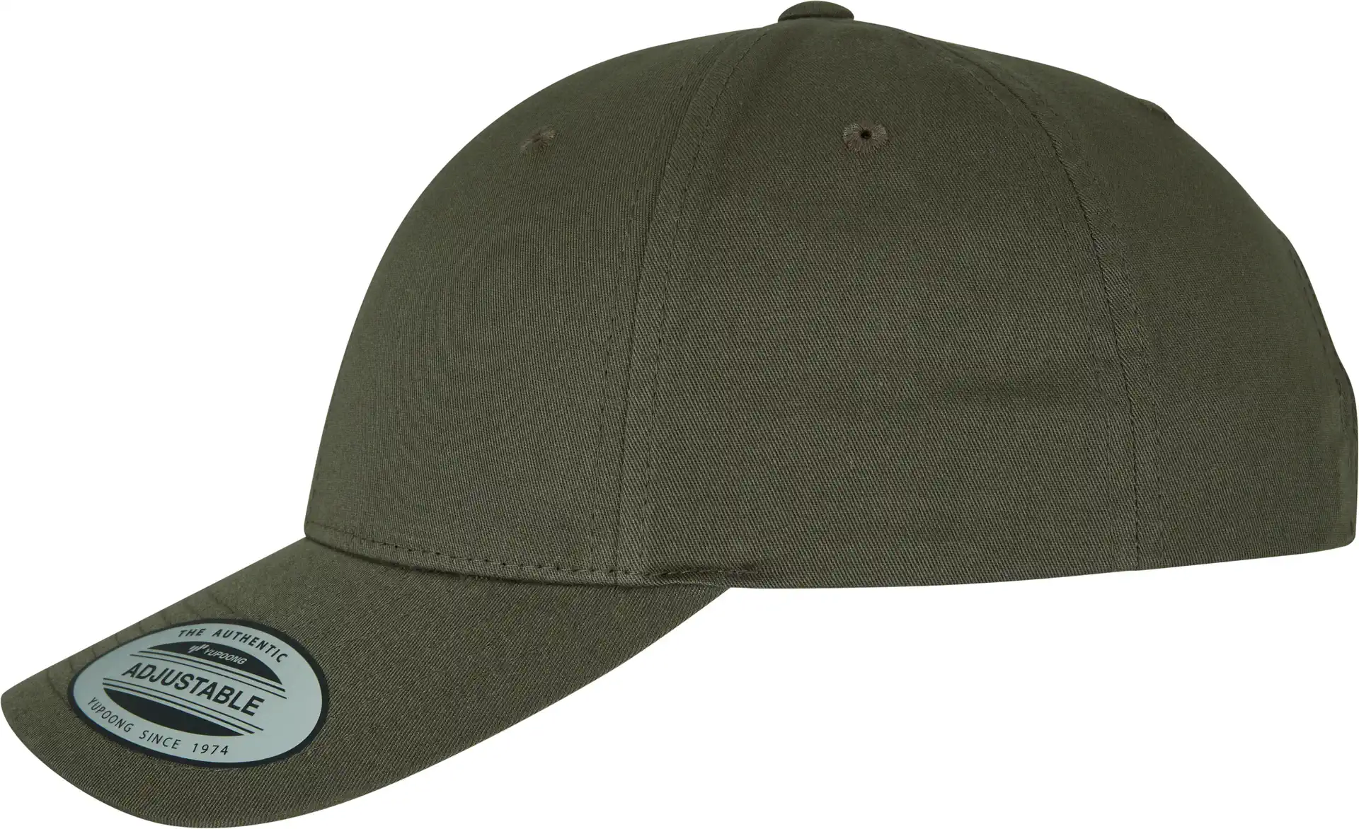 FLEXFIT Curved Classic Snapback