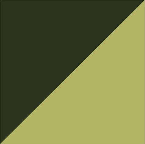 olive/lime green