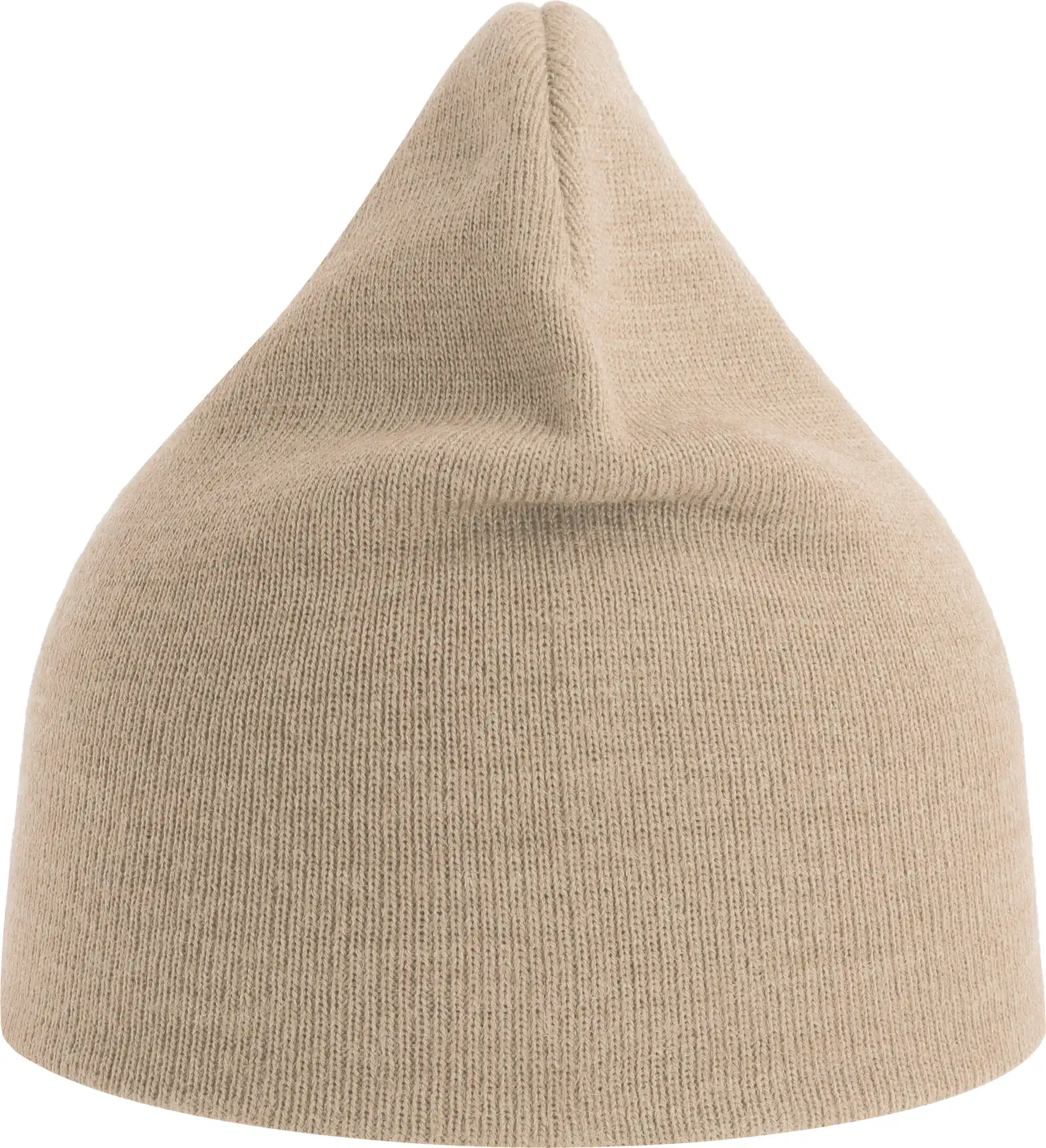Atlantis Holly Beanie