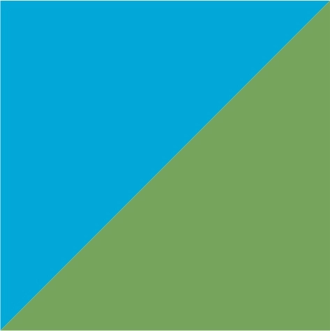 turquoise/lime green