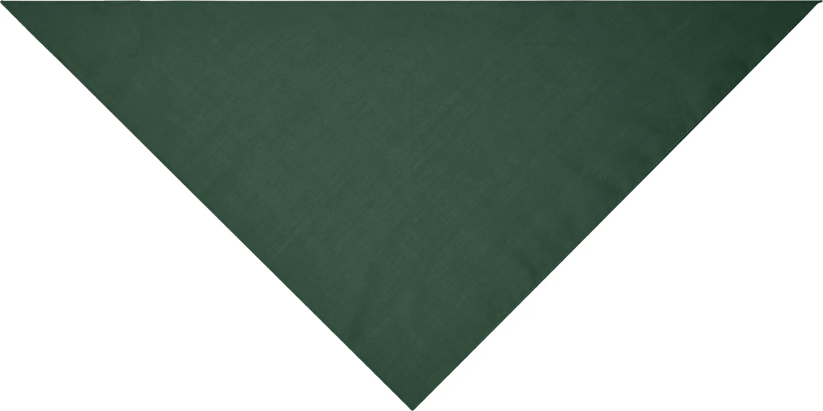 myrtle beach Triangular Scarf