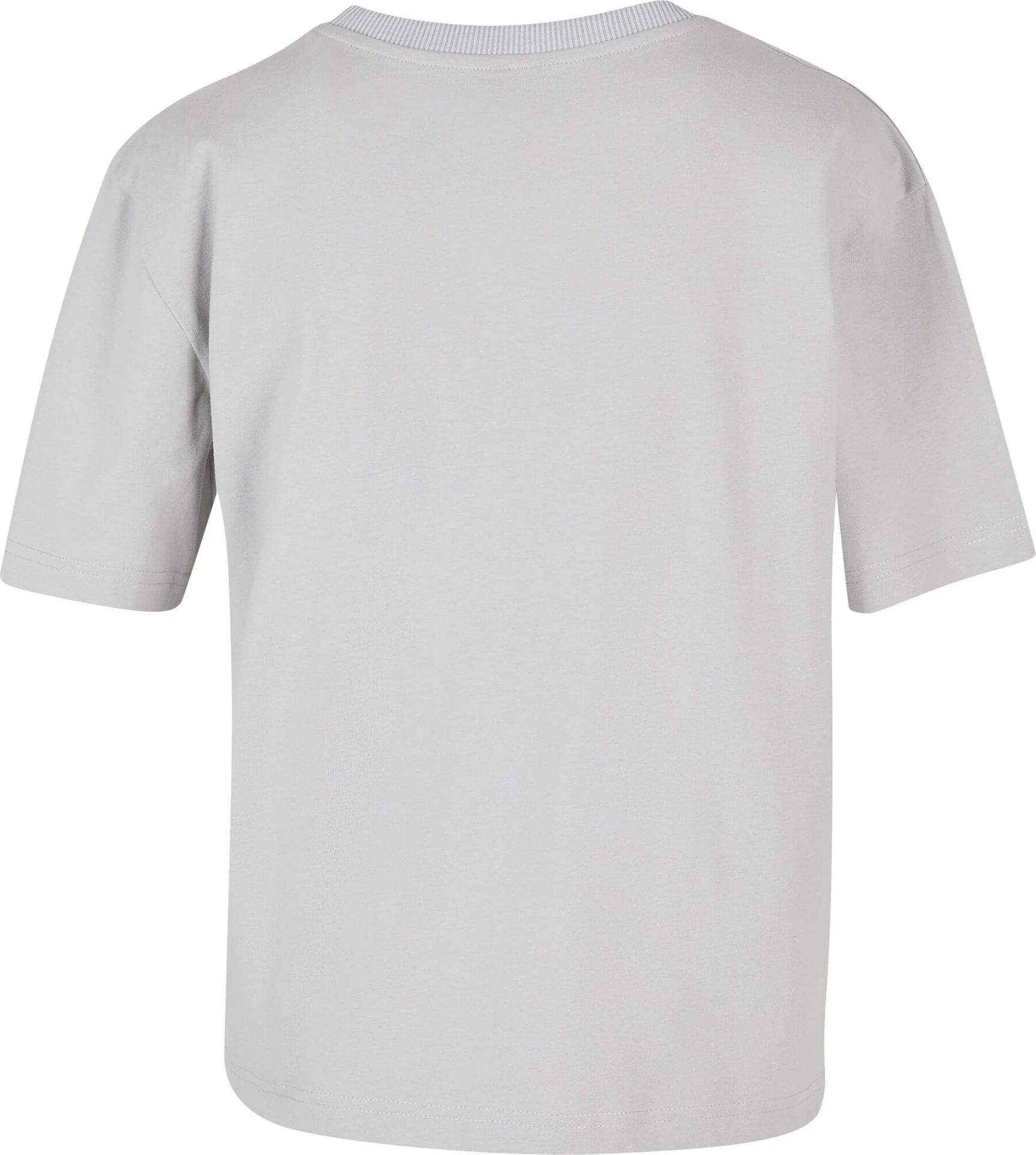 BYB-BY211-ladies-everyday-t-shirt-lightasphalt-back-7 Build Your Brand Ladies Everyday Tee