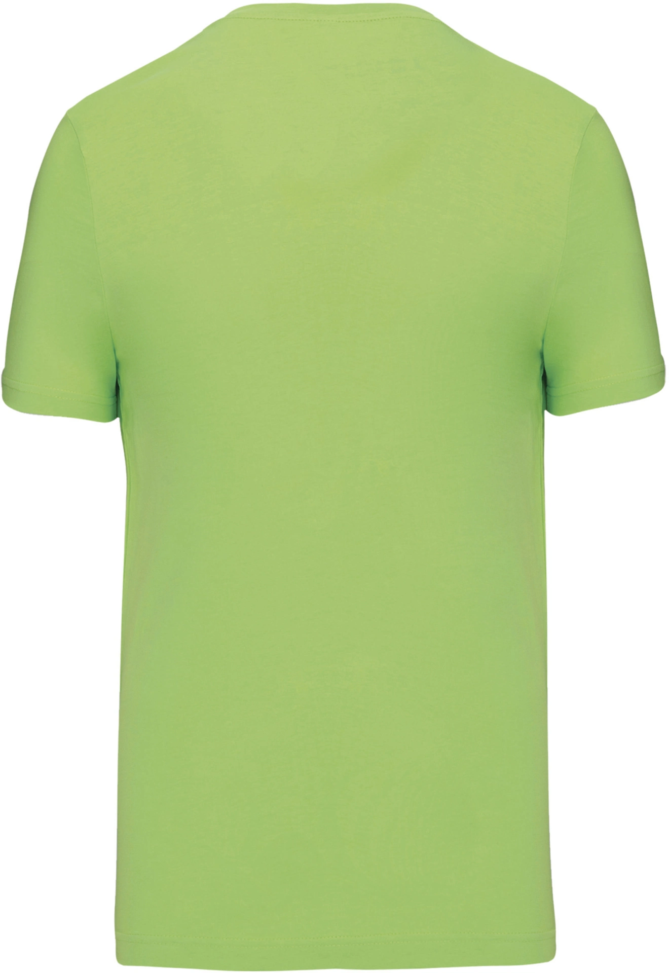 Kariban Herren V-Neck T-Shirt