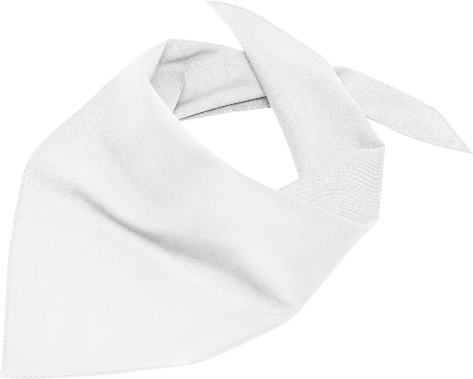 myrtle beach Triangular Scarf