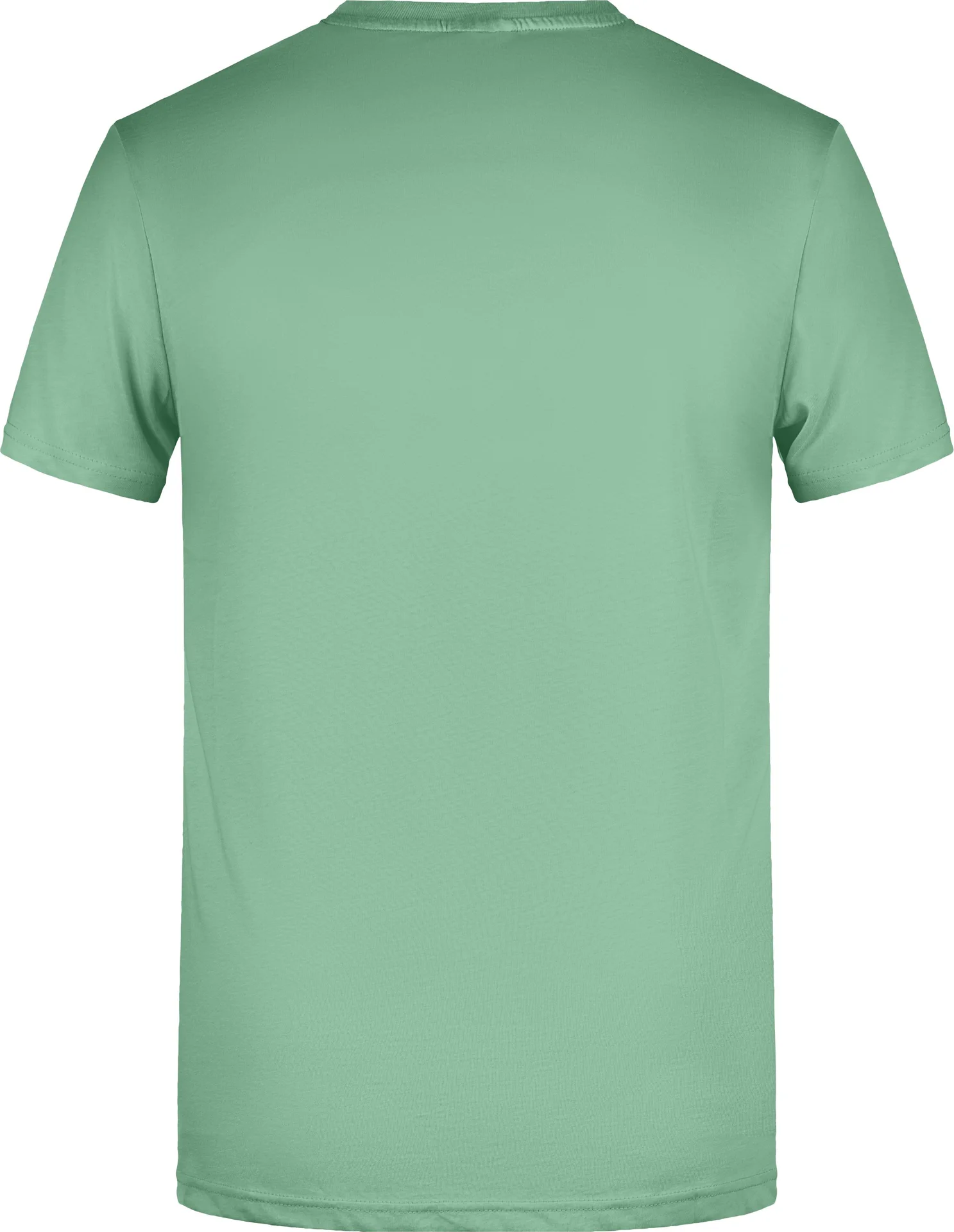 James & Nicholson Men`s Basic-T