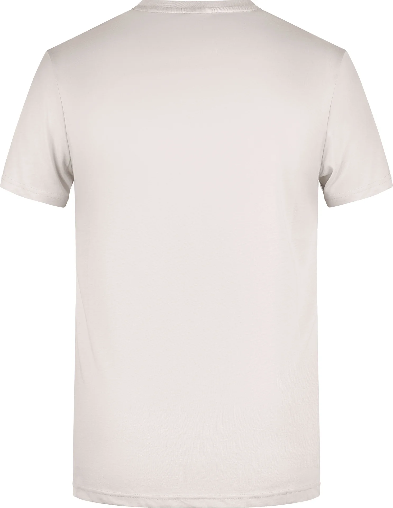 James & Nicholson Men`s Basic-T
