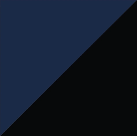 navy/carbon
