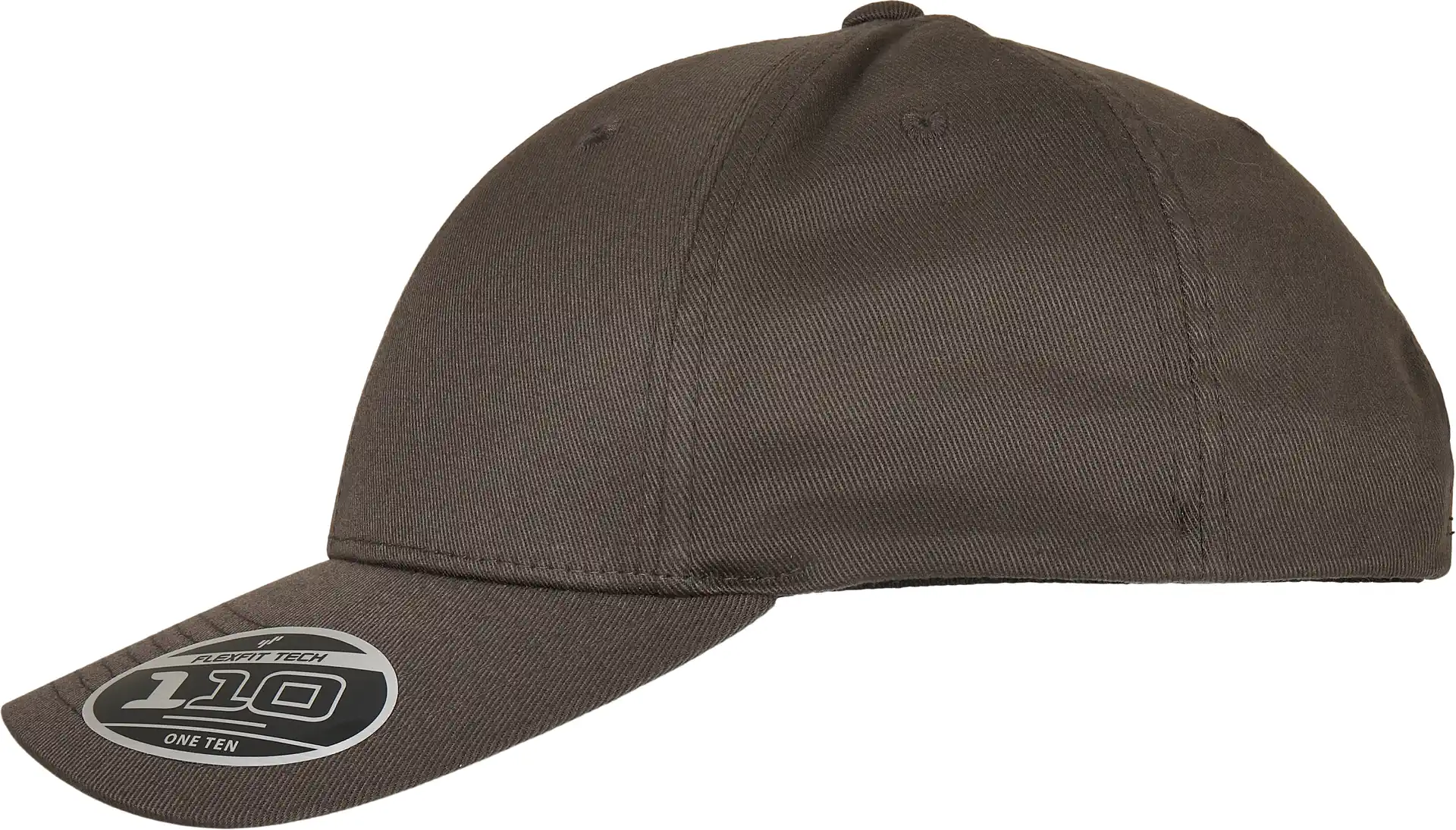 FLEXFIT Flexfit 110 Curved Visor Snapback