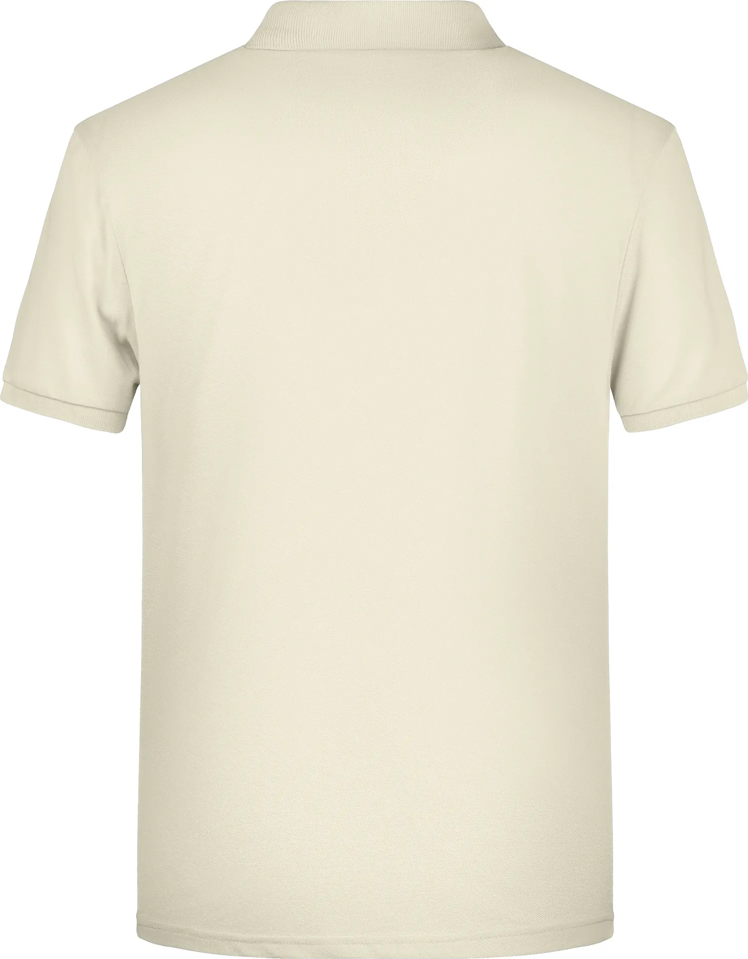 James & Nicholson Men's Basic Polo