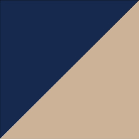 navy/sand