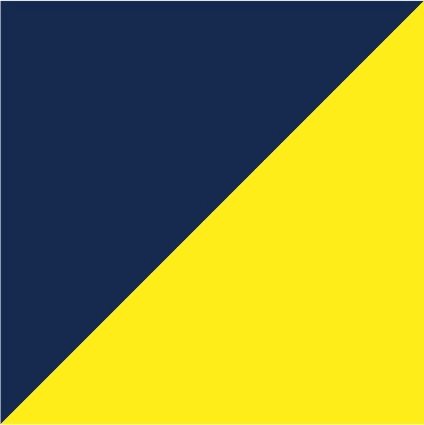 navy/yellow