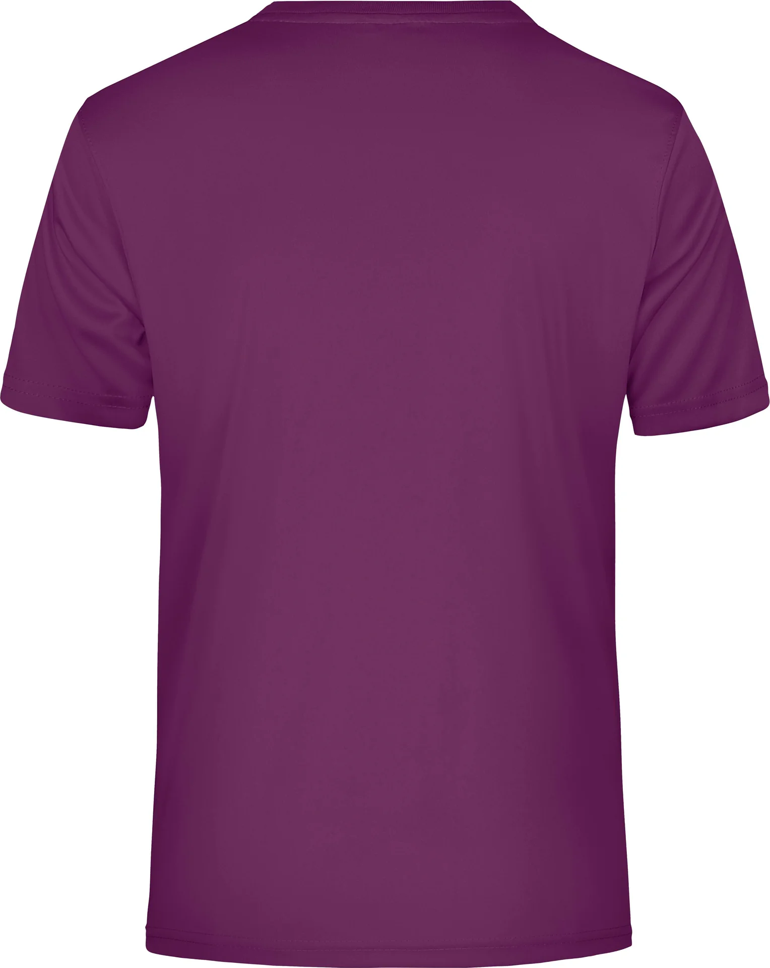 James & Nicholson Men`s Active-T