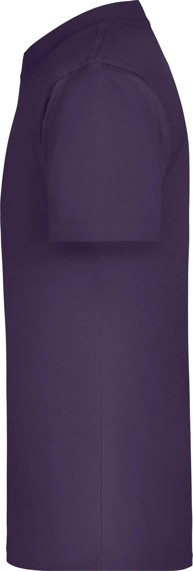 jn019-junior-basic-t-shirt-aubergine-left-4 James & Nicholson Junior Basic-T
