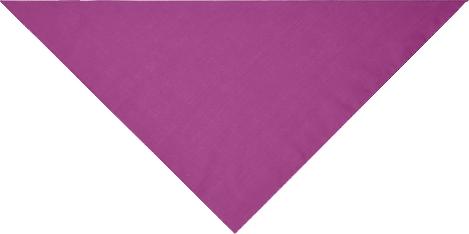 myrtle beach Triangular Scarf