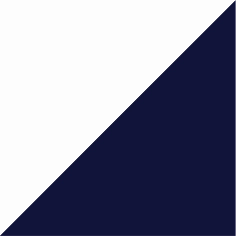 arctic white/french navy