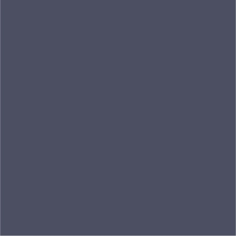 mouse grey