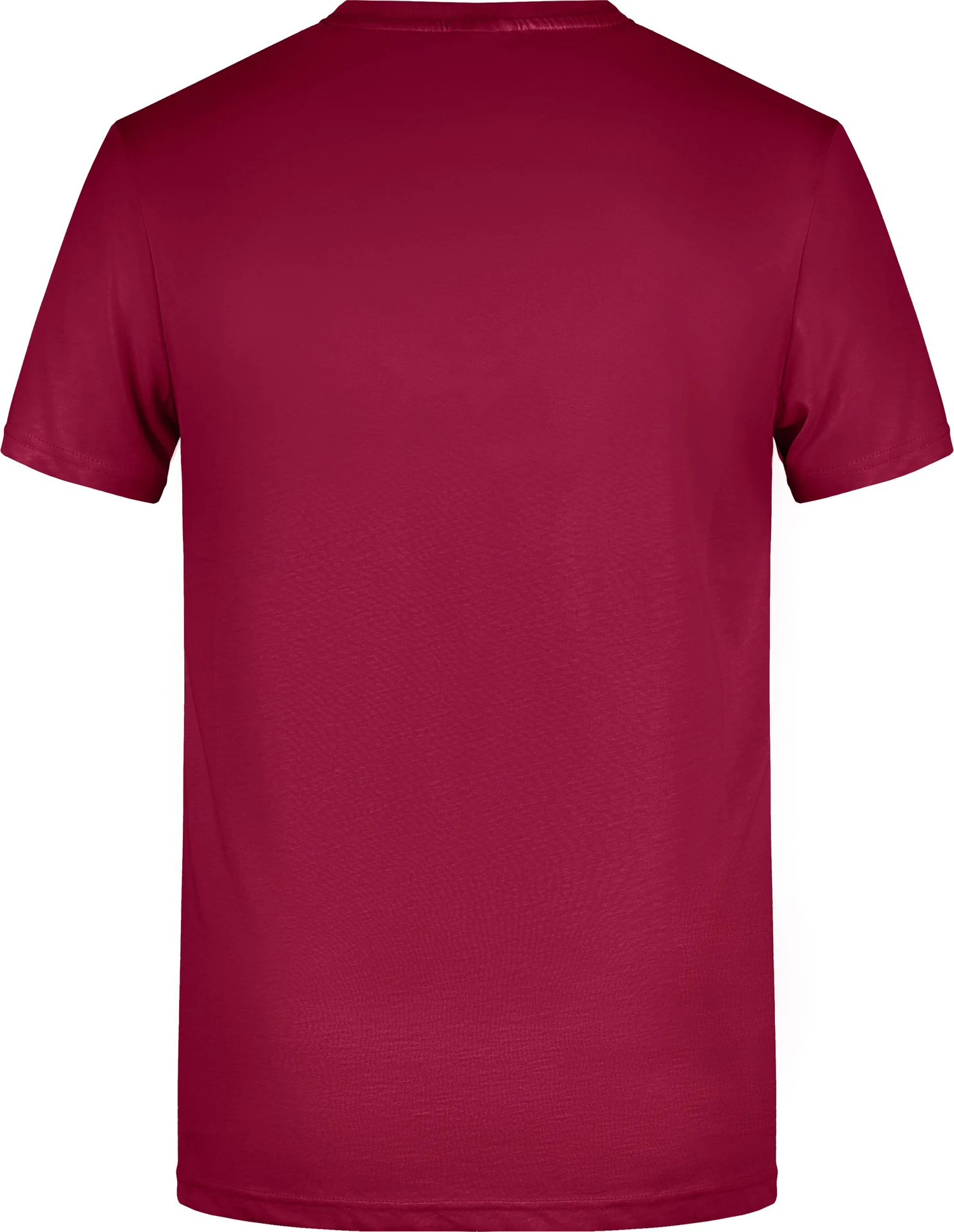 James & Nicholson Men`s Basic-T