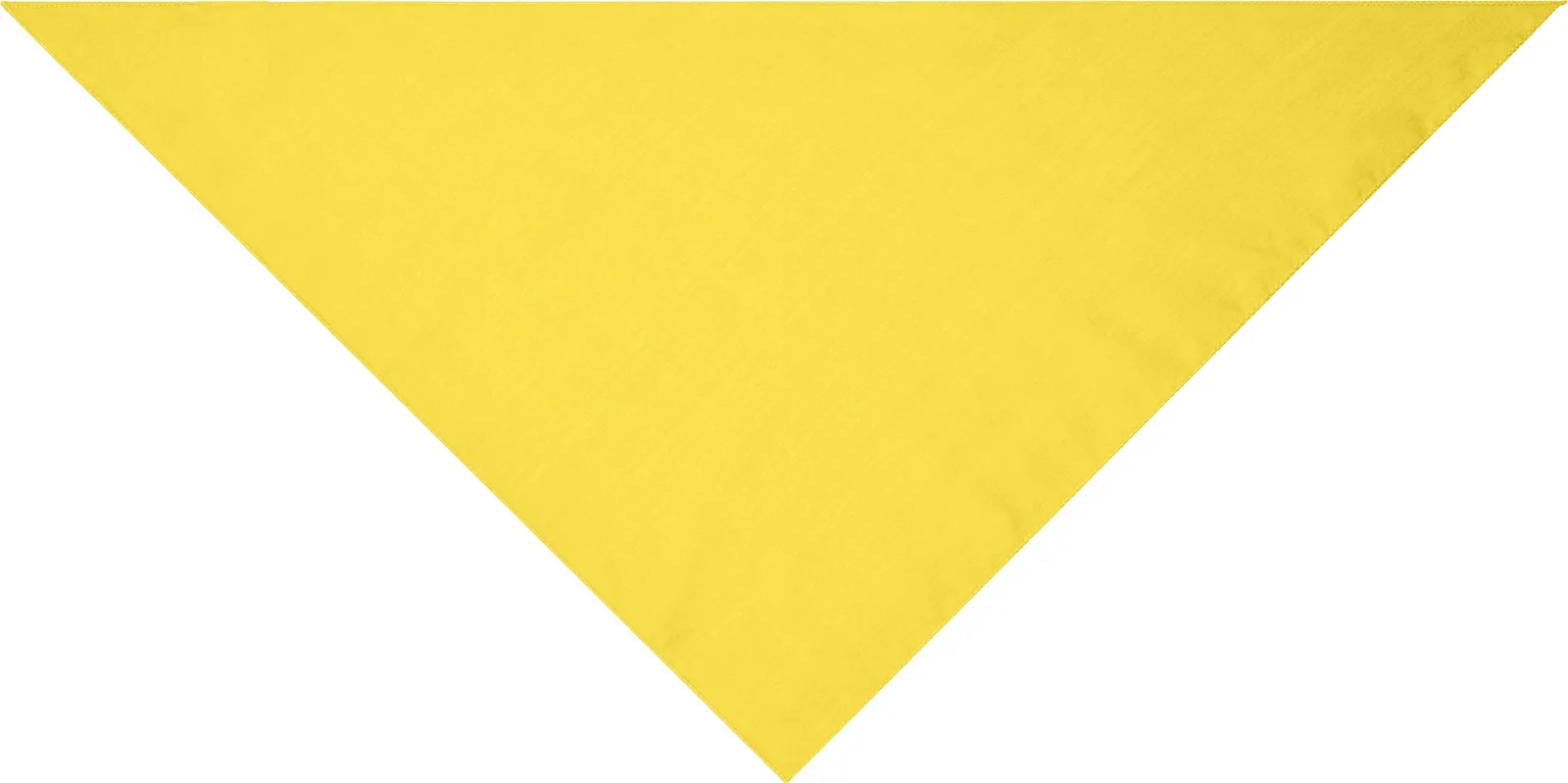 myrtle beach Triangular Scarf