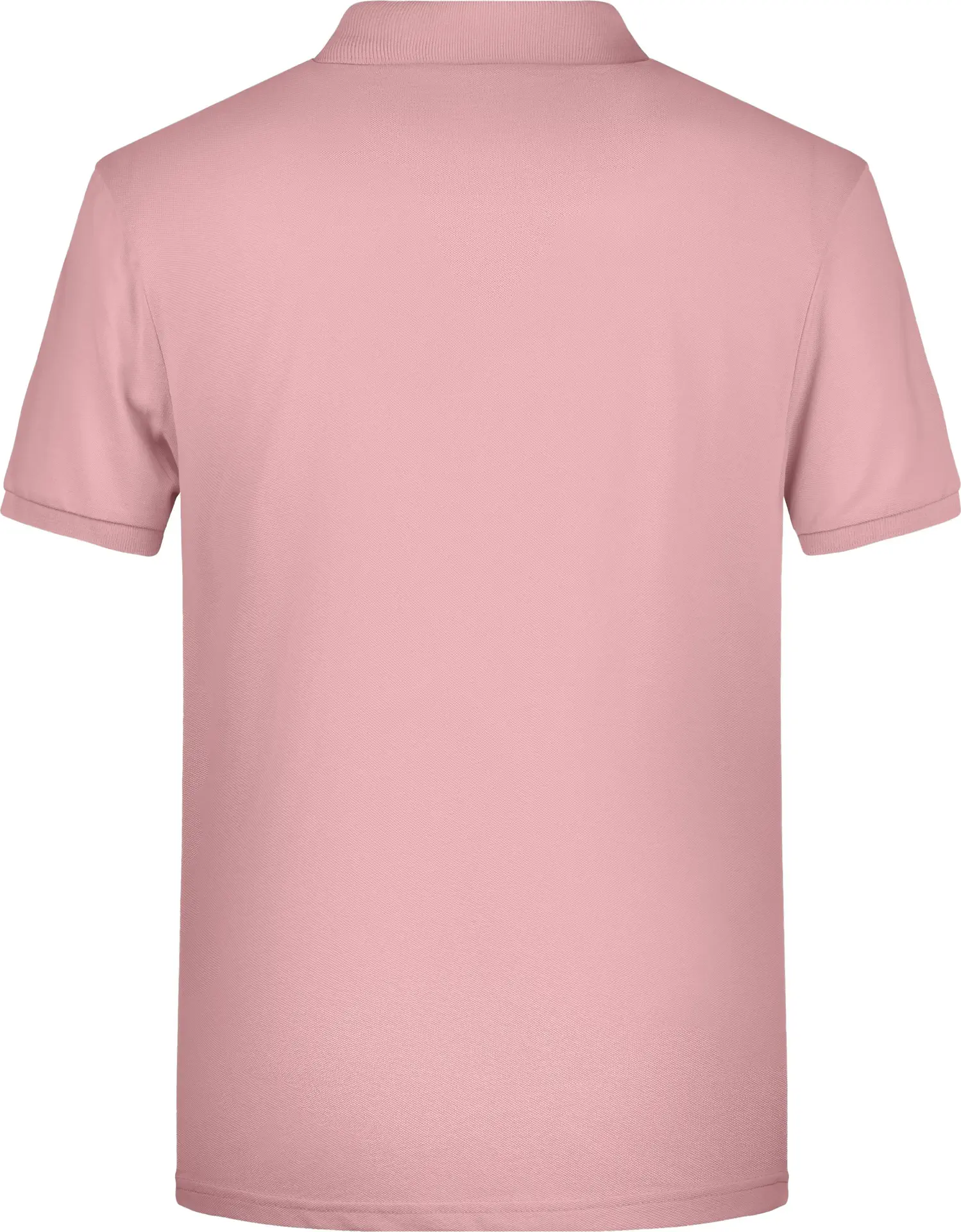 James & Nicholson Men's Basic Polo