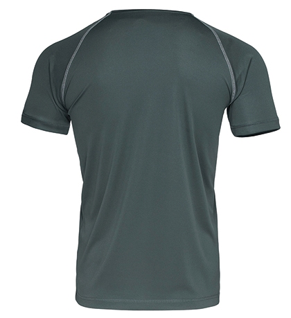 Stedman Active Team Raglan for men