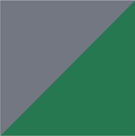 iron grey/green